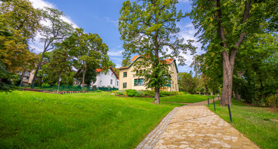 Kořeny minulosti - listy budoucnosti / Historie a budoucnost vilové zahrady